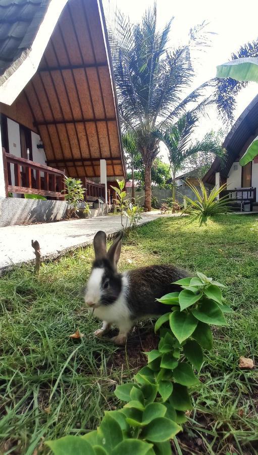 גילי אייר Follow The Rabbit Bungalow מראה חיצוני תמונה